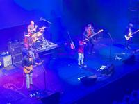 the hip experience photo