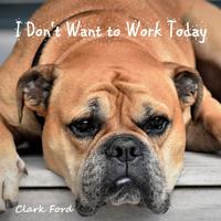 Clark Ford photo