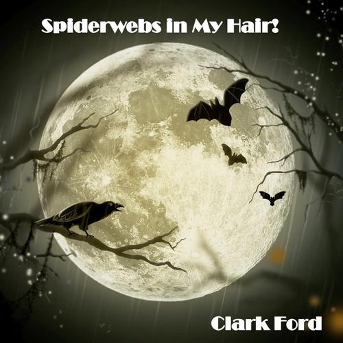 Spiderwebs in My Hair! cover