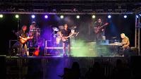 The Bicho Brothers Band photo