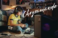Chrysamande photo