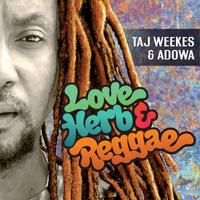 Taj Weekes photo