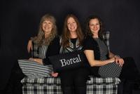 Boreal photo