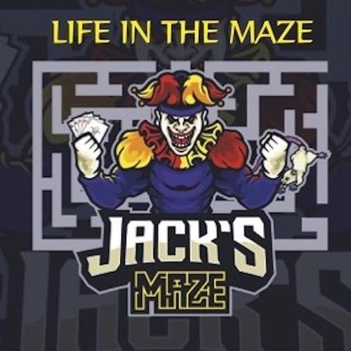 Life In The Maze cover