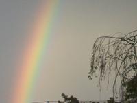 Song Of Peace photo