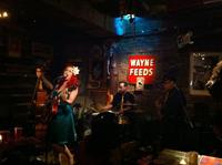 Screamin' Rebel Angels photo