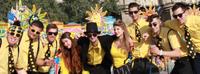 Yellow Spots photo