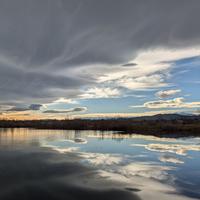 Vic Dillahay photo