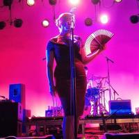 Natascha and The Spy Boys photo