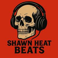 shawn heat beats photo