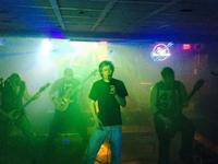 Blackcat Manor photo