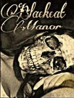 Blackcat Manor photo