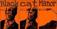 Blackcat Manor photo