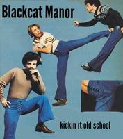 Blackcat Manor photo