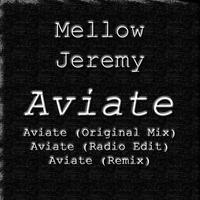 Mellow Jeremy photo
