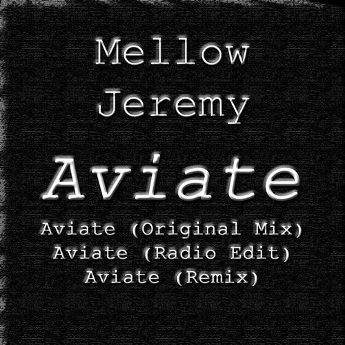 Aviate cover