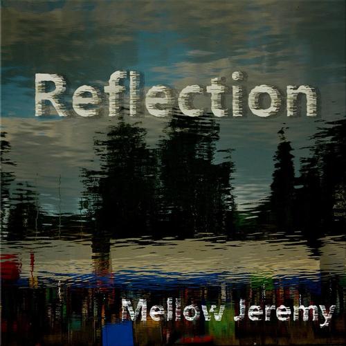 Reflection cover