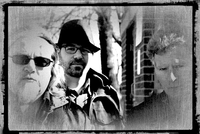 All Night Mule photo