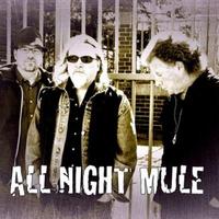 All Night Mule photo