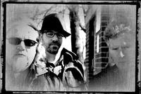 All Night Mule photo