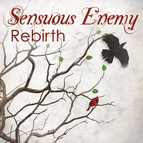 Rebirth cover
