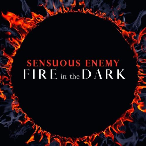 Fire in the Dark cover