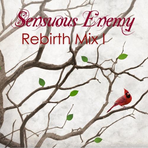 Rebirth Mix 1 cover