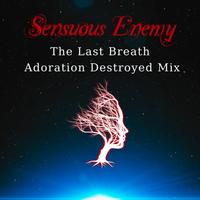 Sensuous Enemy photo