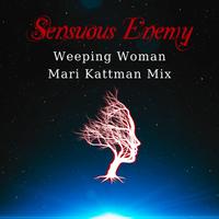 Sensuous Enemy photo