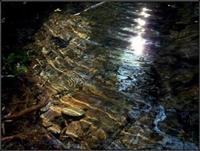 Chronophonix photo