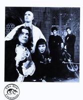The New Creatures photo