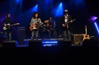 LIVE RUST A Tribute to Neil Young photo