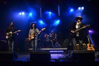 LIVE RUST A Tribute to Neil Young photo