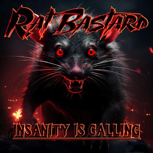 INSANITY IS CALLING cover