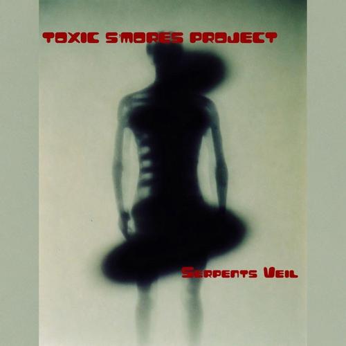 Serpents Veil cover