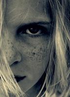 arado photo