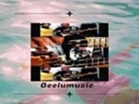 Geelumusic photo