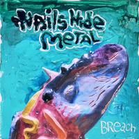 NAILS HIDE METAL photo