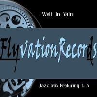 FlyvationRecords photo