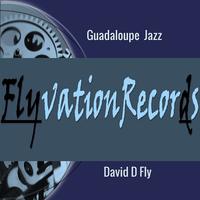 FlyvationRecords photo