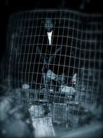 Leneage Records photo
