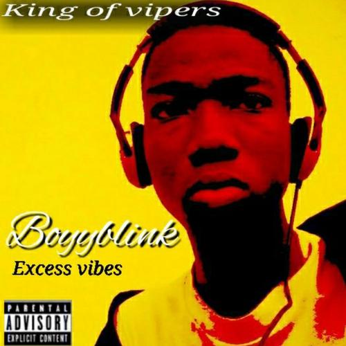 Excess Vibes EP cover