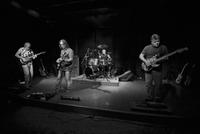 Scott Abene - Guitar photo