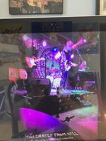 Squirrels From Hell photo
