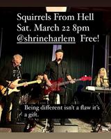 Squirrels From Hell photo