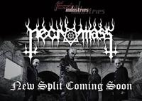 Necromass photo