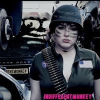 indifferentMonKeY photo
