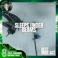 Sleeps Under Beams photo