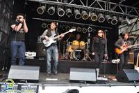 Red Bananas Blues Band photo