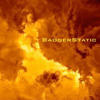BadgerStatic photo